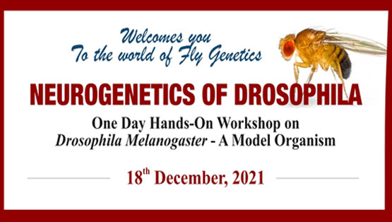 Workshop On Drosophila Melanogaster
