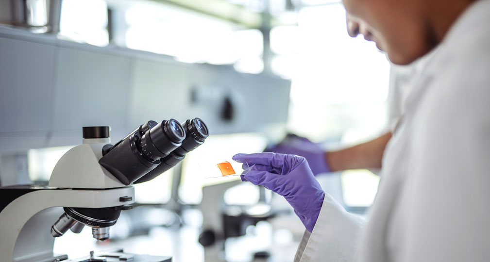 Master of Science in Microbiology