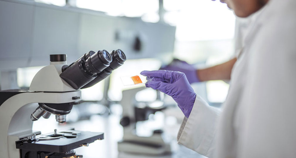 Research in Microbiology