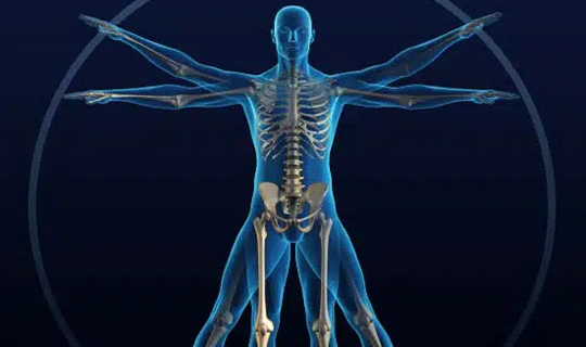 M.Sc. Medical Physiology