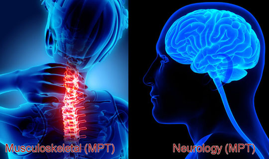 Master of Physiotherapy