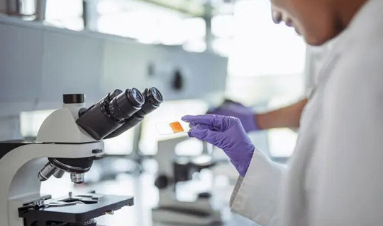 Master of Science in Microbiology