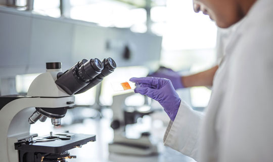 Research in Microbiology