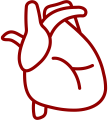 Cardiothoracic Vascular Surgery